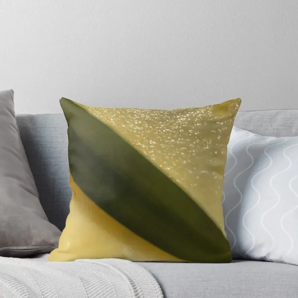 Pineapple Slice Leaf Fiji Throw Pillow Sofa Covers For Living Room Christmas Pillow Covers Decorative Cushion Cover pillow
Pineapple Slice Leaf Fiji Throw Pillow Sofa Covers For Living Room Christmas Pillow Covers Decorative Cushion Cover pillow