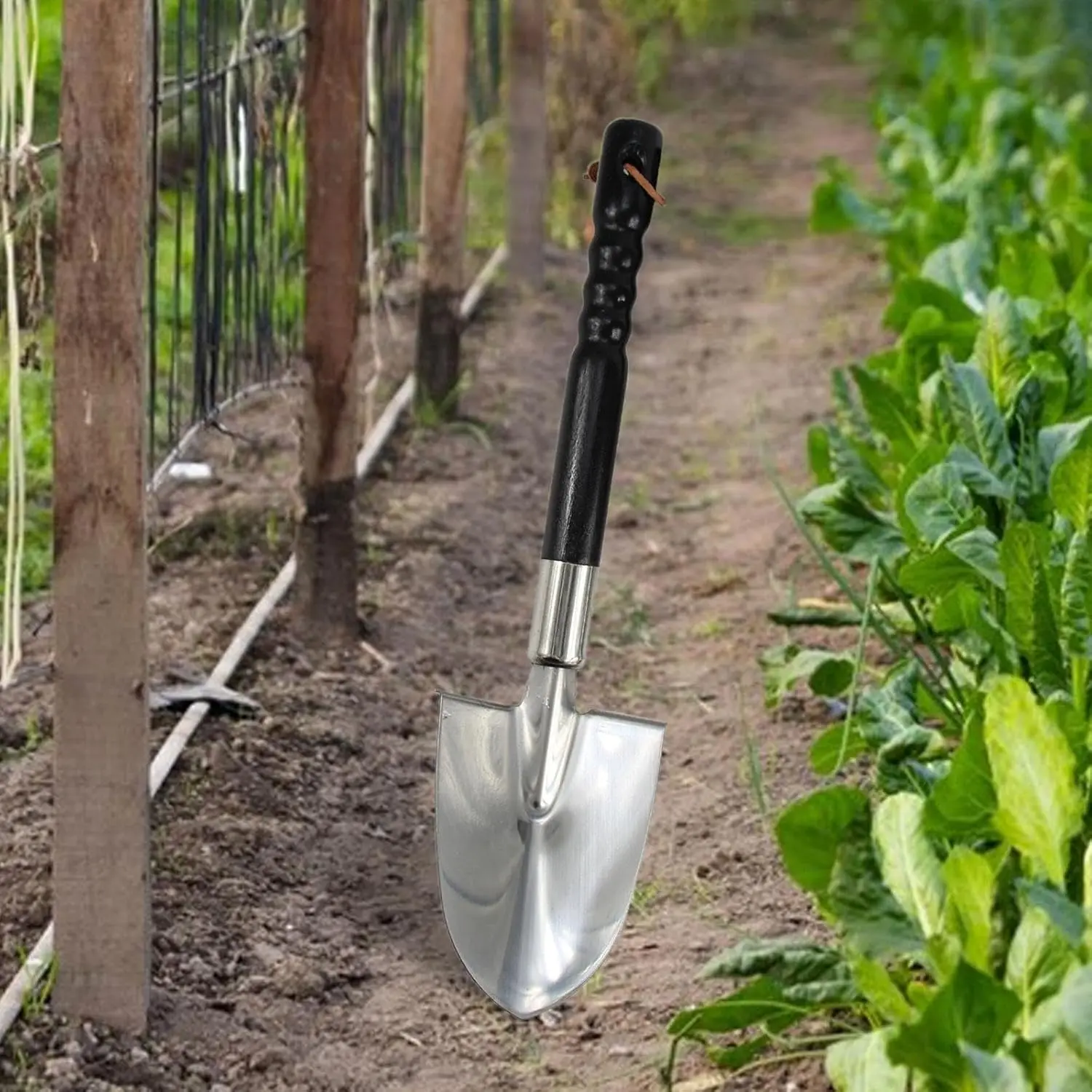 Garden Spade Gardening Tool Equipment Stainless Steel Digging Spade Planting Spade for Lawn Shoveling Landscaping , Square Point
Garden Spade Gardening Tool Equipment Stainless Steel Digging Spade Planting Spade for Lawn Shoveling Landscaping , Square Point