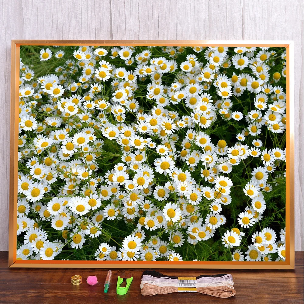 Flowers White Chrysanthemum Printed 11CT Cross-Stitch Embroidery Full Kit Sewing Knitting Handmade Painting Needle Sales Stamped
Flowers White Chrysanthemum Printed 11CT Cross-Stitch Embroidery Full Kit Sewing Knitting Handmade Painting Needle Sales Stamped