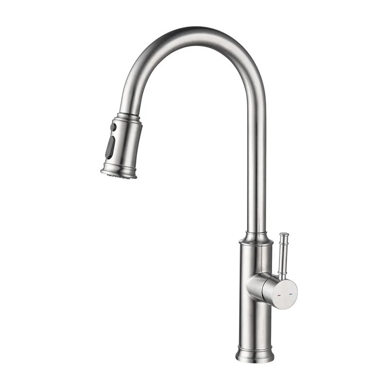 Pull-Out Kitchen Faucet with Spray
Pull-Out Kitchen Faucet with Spray