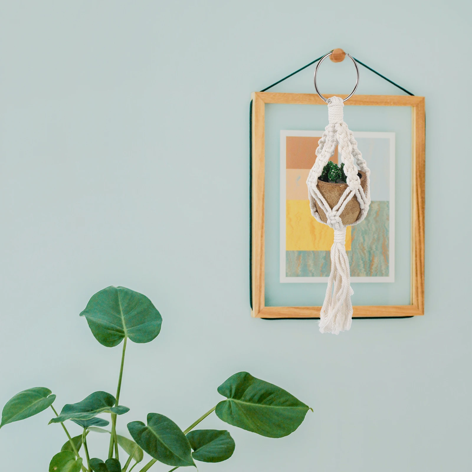3 Pcs Cotton Macrame Plant Hanger H Woven Flower Pot Basket Stylish Tassel Wall Mount Indoor Balcony Garden Multi Functional
3 Pcs Cotton Macrame Plant Hanger H Woven Flower Pot Basket Stylish Tassel Wall Mount Indoor Balcony Garden Multi Functional