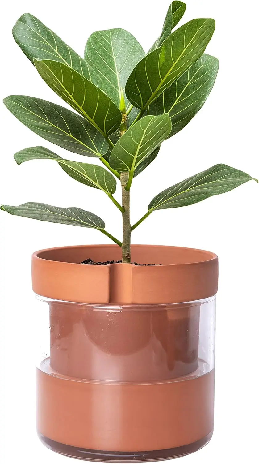 8" Self-Watering Terracotta Planter Pot with Glass Reservoir for Indoor Plants, Herbs & Flowers
8" Self-Watering Terracotta Planter Pot with Glass Reservoir for Indoor Plants, Herbs & Flowers