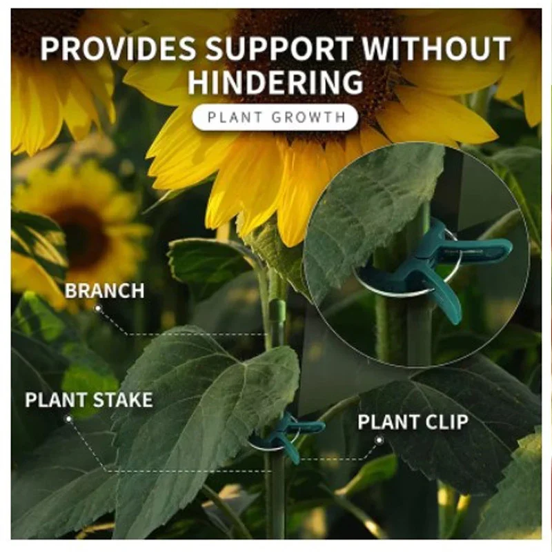 100Pcs Plant Fixed Clips Reusable Greenhouse Bracket Garden Supplies For Fixing Stems Of Tomatoes Flower Vine Seedling Fastener
100Pcs Plant Fixed Clips Reusable Greenhouse Bracket Garden Supplies For Fixing Stems Of Tomatoes Flower Vine Seedling Fastener