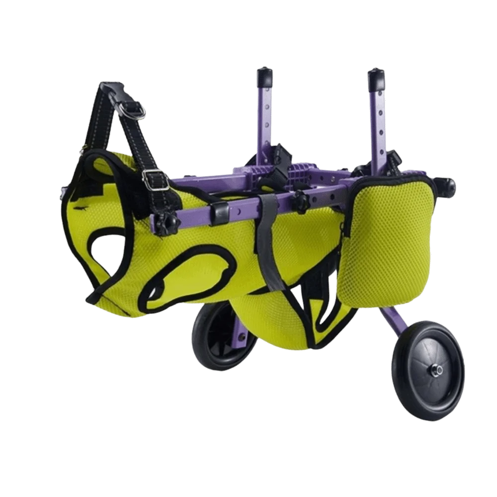 Adjustable Dog Wheelchair Breathable with Wheels Cat Recovery Aid Car Hind Leg Support Pet Hind Legs Bracket Elderly Dog
Adjustable Dog Wheelchair Breathable with Wheels Cat Recovery Aid Car Hind Leg Support Pet Hind Legs Bracket Elderly Dog