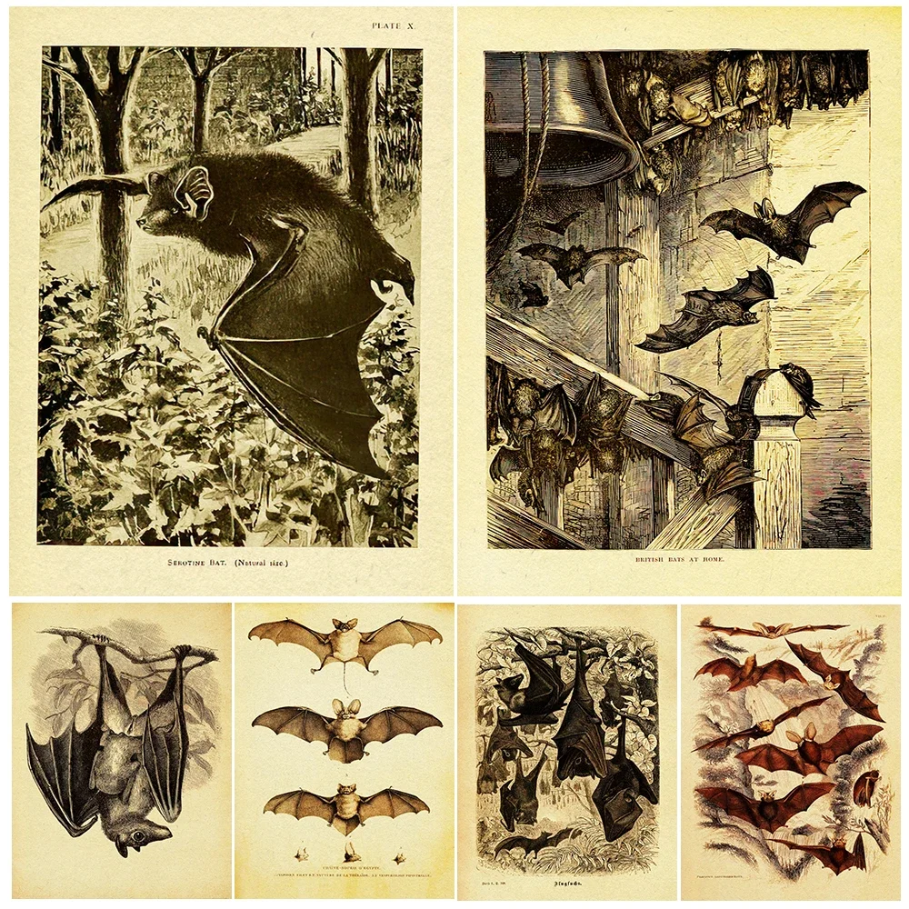Full Moon Bats Vintage Wall Art Canvas Painting Gothic Bats Illustration Art Poster And Print For Living Room Decor Unframed
Full Moon Bats Vintage Wall Art Canvas Painting Gothic Bats Illustration Art Poster And Print For Living Room Decor Unframed