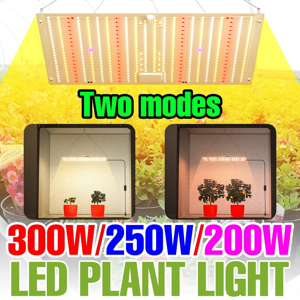 300W LED Indoor Plant Lamp Full Spectrum Quantum Board 220V Greenhouse Hydroponic Cultivation Fill Lamps Seeds Planting Lighting
300W LED Indoor Plant Lamp Full Spectrum Quantum Board 220V Greenhouse Hydroponic Cultivation Fill Lamps Seeds Planting Lighting