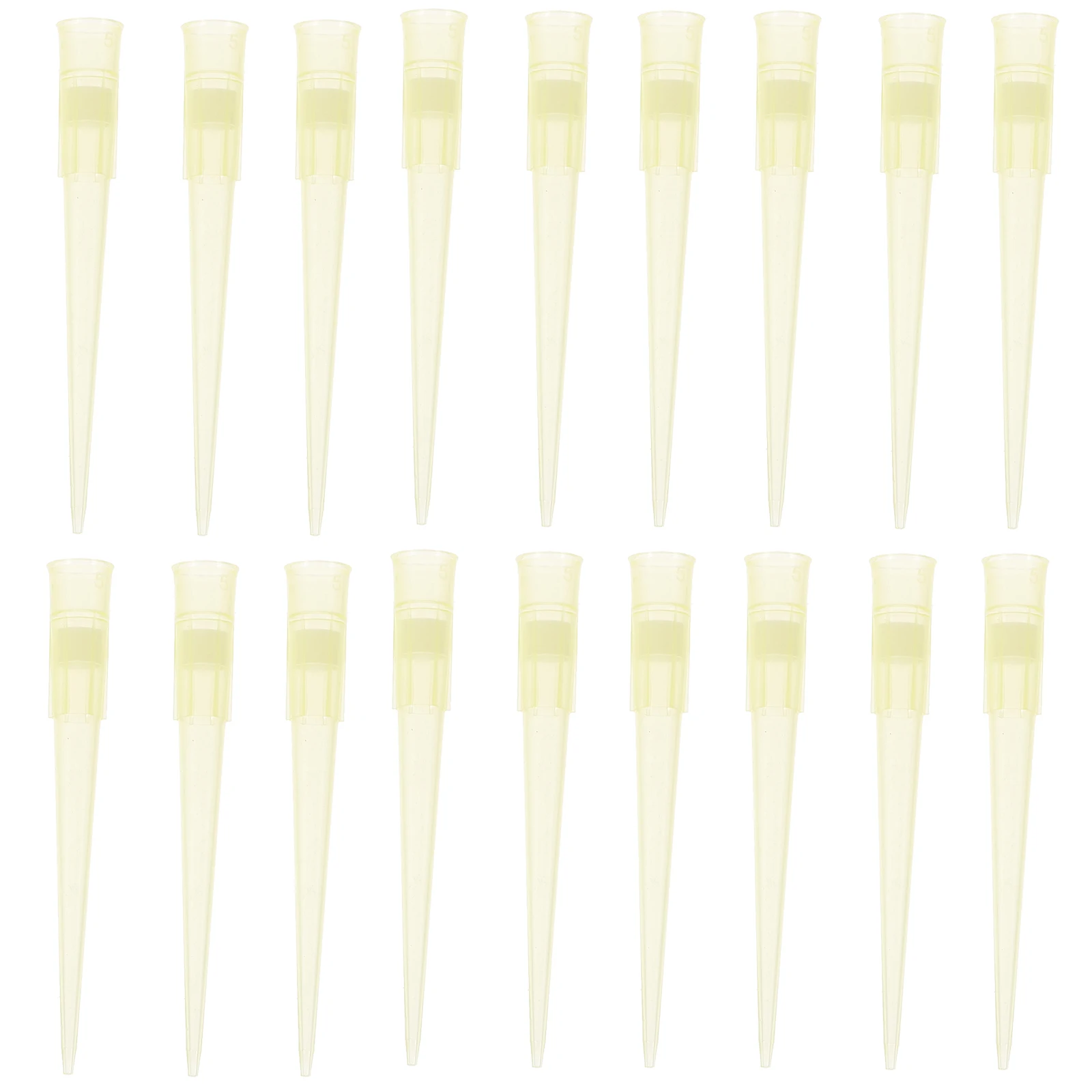 1000 Pcs Pipette Tips for Experiment Clear Pipettor Liquid Plastic Laboratory Supplies
1000 Pcs Pipette Tips for Experiment Clear Pipettor Liquid Plastic Laboratory Supplies