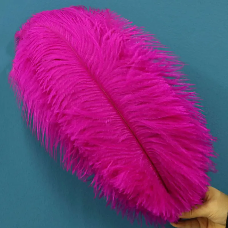10pcs Natural Ostrich Feathers Plumas for Party Craft Carnival Decoration DIY Handicrafts and Table Centerpiece Accessories
10pcs Natural Ostrich Feathers Plumas for Party Craft Carnival Decoration DIY Handicrafts and Table Centerpiece Accessories