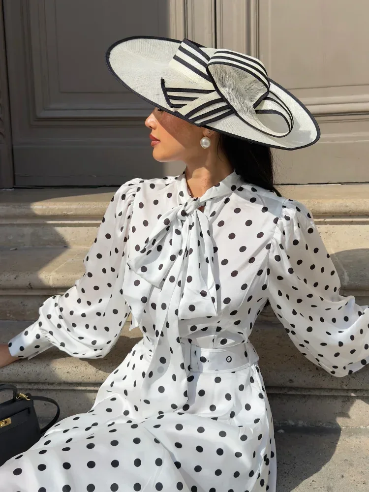 Elegant High Neck Lace-up Polka Dot Long Dresses Women Fashion Lantern Sleeve A-line Dress 2025 Female Street Party Vestidos
Elegant High Neck Lace-up Polka Dot Long Dresses Women Fashion Lantern Sleeve A-line Dress 2025 Female Street Party Vestidos
