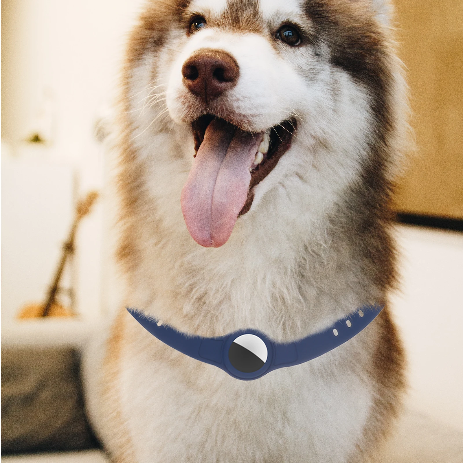 Silicone Pet Tracer Case Protective Cover for Dog Cats Pet Case Buckle Clip Safe Attachment Holder
Silicone Pet Tracer Case Protective Cover for Dog Cats Pet Case Buckle Clip Safe Attachment Holder