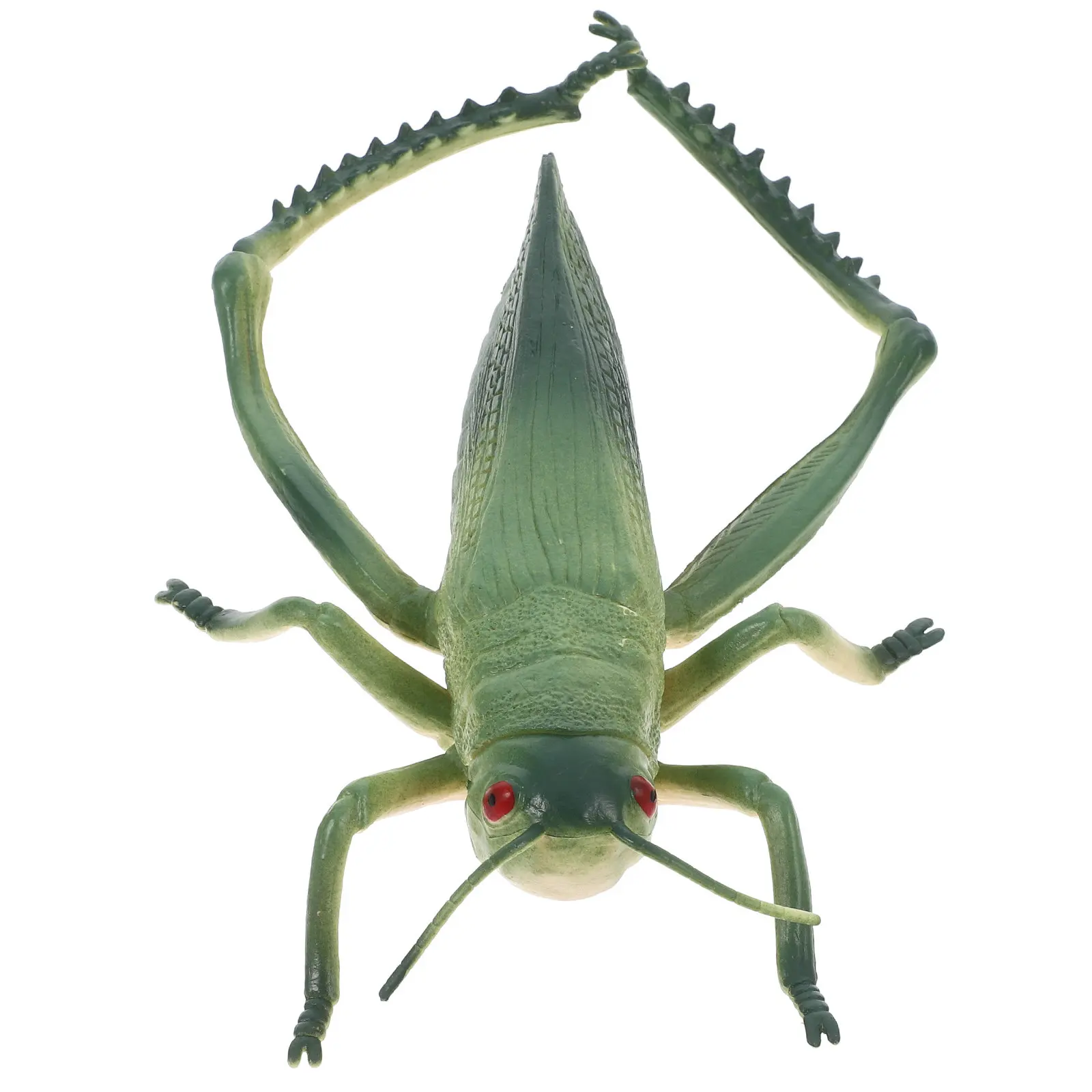 Plastic Green Grasshopper Realistic Bug Outdoor Educational Playset Insect Party Decoration Reusable Fake Insect Prop
Plastic Green Grasshopper Realistic Bug Outdoor Educational Playset Insect Party Decoration Reusable Fake Insect Prop