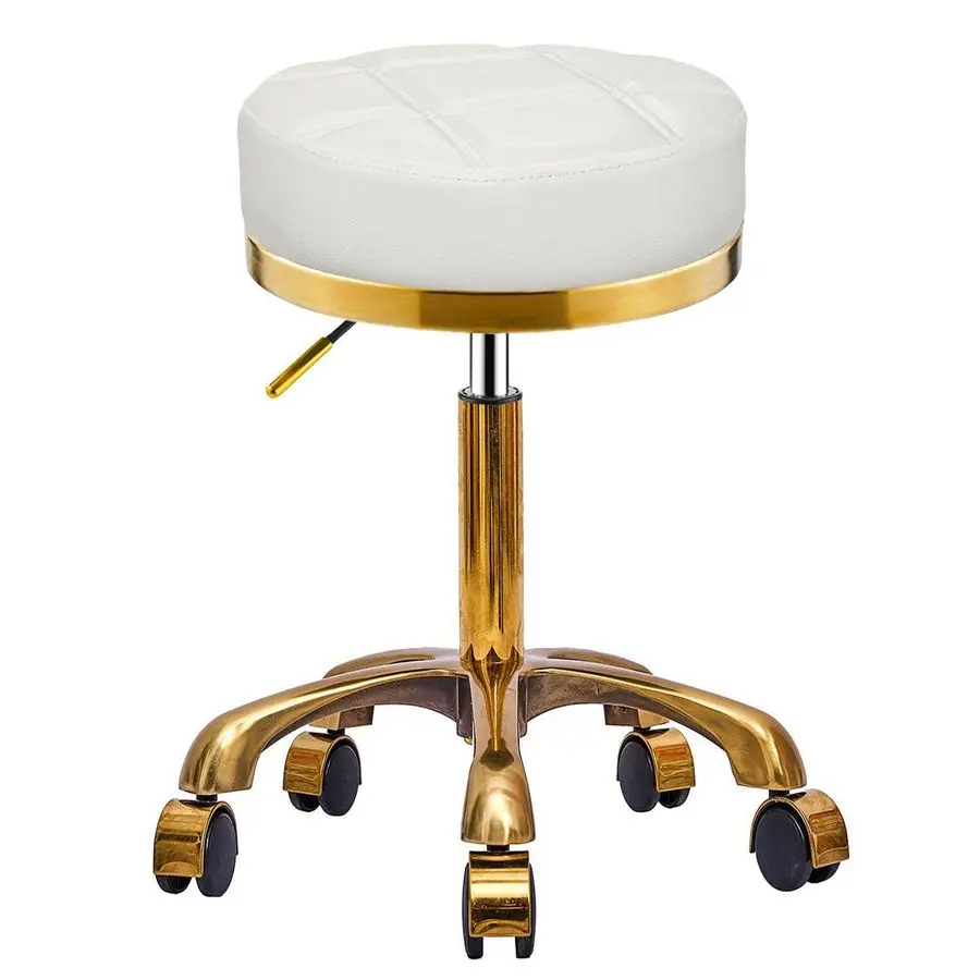 Rolling Vanity Stool with Wheels, Padded Seat, Adjustable Round Rolling Chair, Office Work Stool, Pedicure Salon Spa Massage Est
Rolling Vanity Stool with Wheels, Padded Seat, Adjustable Round Rolling Chair, Office Work Stool, Pedicure Salon Spa Massage Est