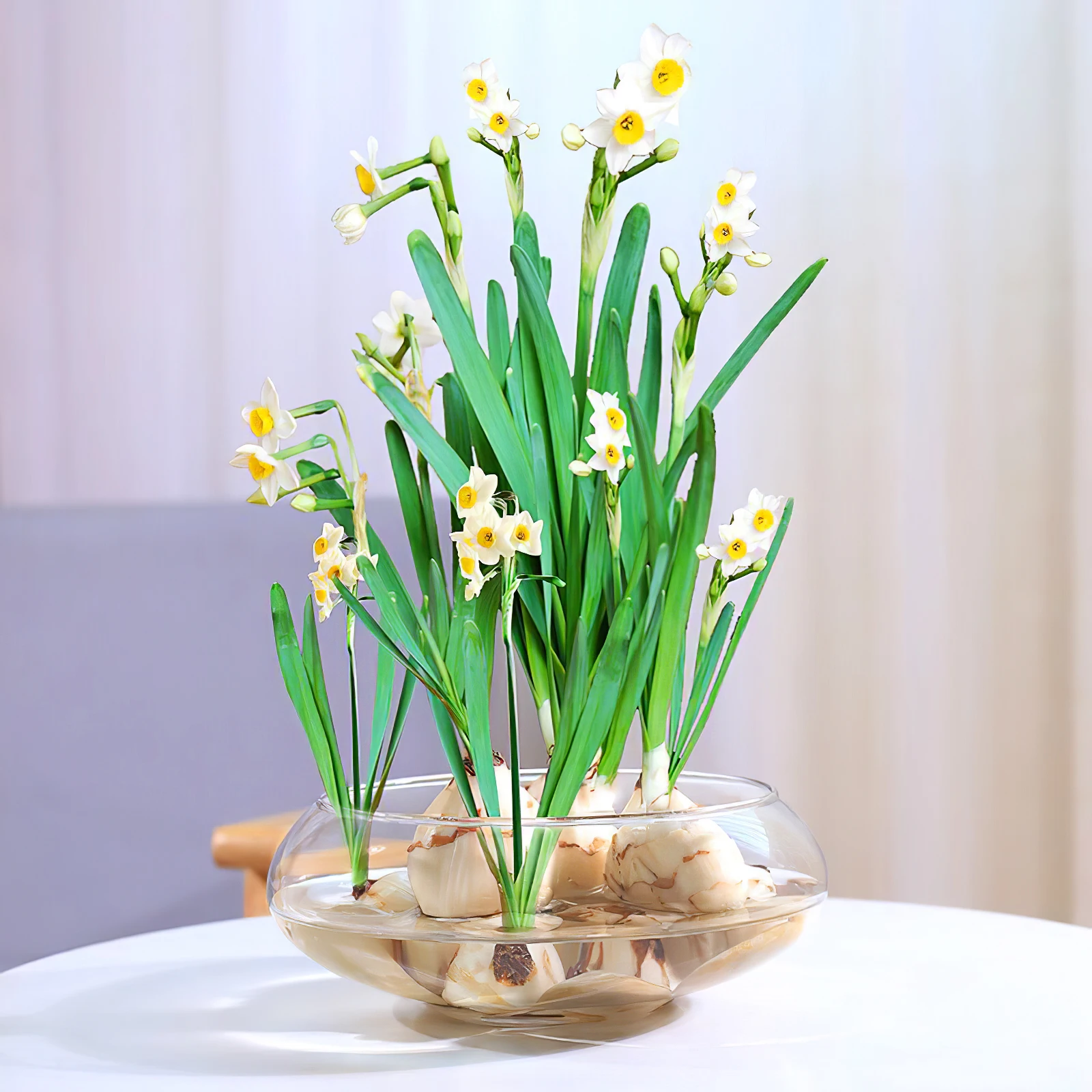 2800Ml Transparent Aquarium Clear Fish Tank For Betta Turtles Desktop Decorative Aquarium Plastic Fish Tank For Home Office
2800Ml Transparent Aquarium Clear Fish Tank For Betta Turtles Desktop Decorative Aquarium Plastic Fish Tank For Home Office