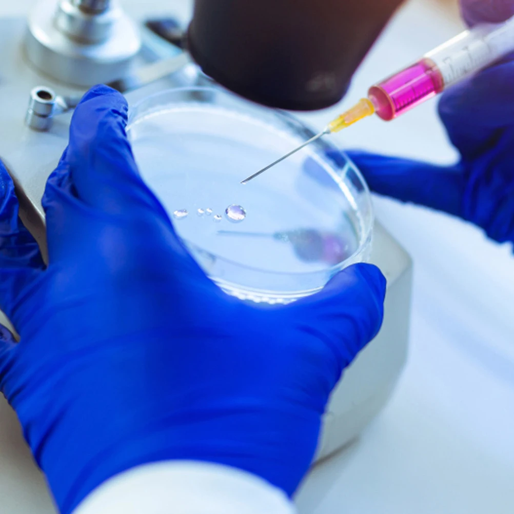 30pcs Culture Plate Petri Dish 70mm Transparent Plastic Lids for Lab Chemistry Experiments Classroom Teaching Agar Plates 
30pcs Culture Plate Petri Dish 70mm Transparent Plastic Lids for Lab Chemistry Experiments Classroom Teaching Agar Plates