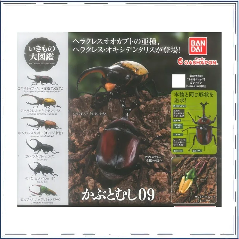BANDAI Biology Illustrated Guide Rhinoceros Beetle Dynastes Hercules Insects Series Gashapon Ornament Action Figure Model Toys
BANDAI Biology Illustrated Guide Rhinoceros Beetle Dynastes Hercules Insects Series Gashapon Ornament Action Figure Model Toys