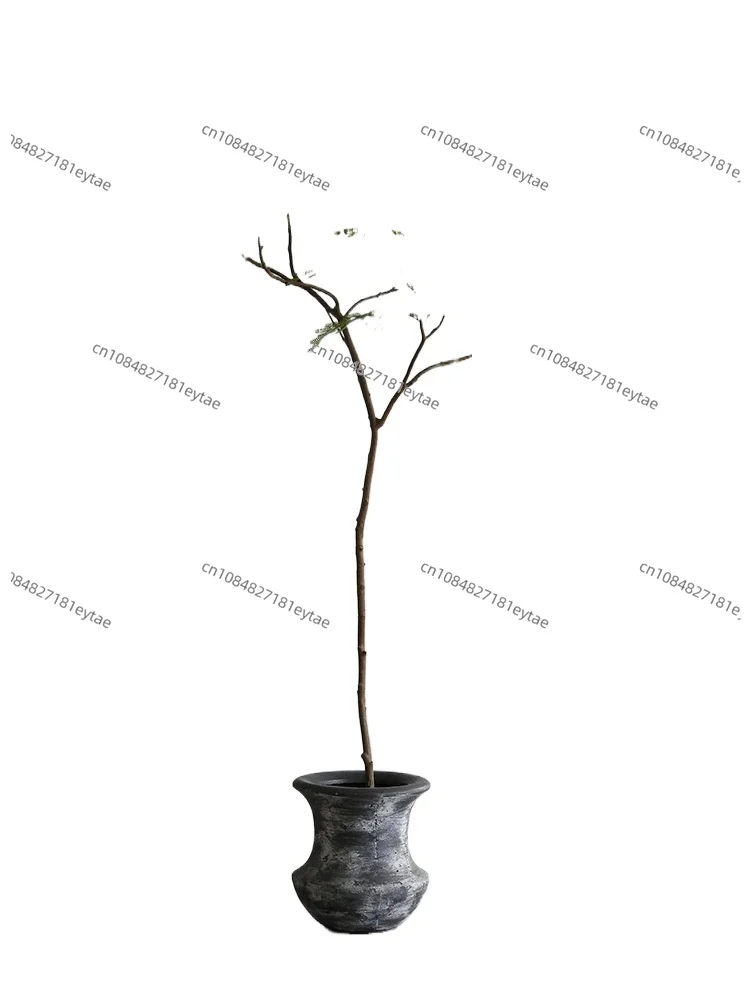 Artificial Green Jacaranda Tree Simulation Plant for Living Room B&B Home Decor
Artificial Green Jacaranda Tree Simulation Plant for Living Room B&B Home Decor