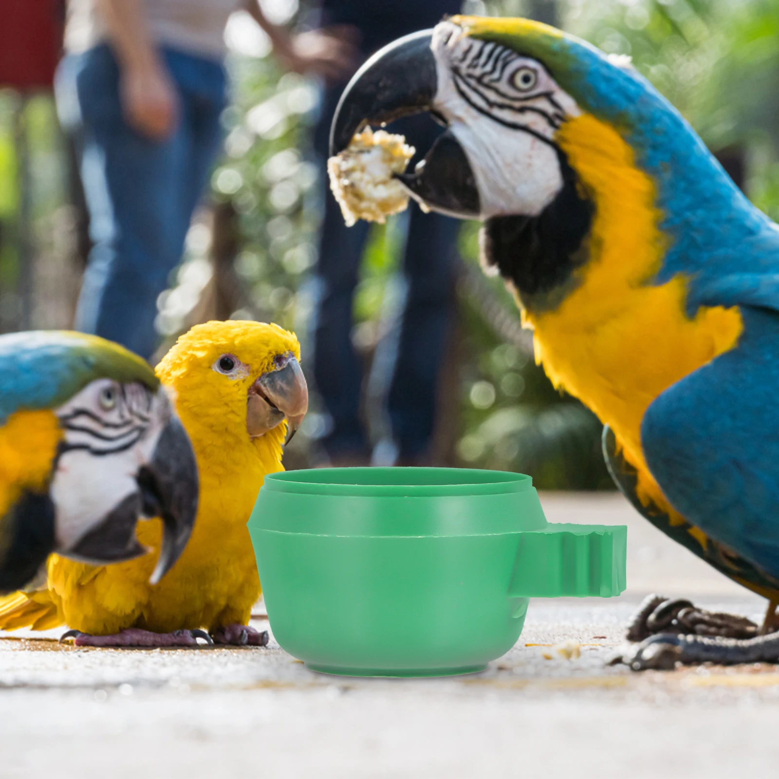 15Pcs Premium Bird Feeding Bowl Green Food Bowl Bird Cage Supplies Parrot Water Feeder
15Pcs Premium Bird Feeding Bowl Green Food Bowl Bird Cage Supplies Parrot Water Feeder