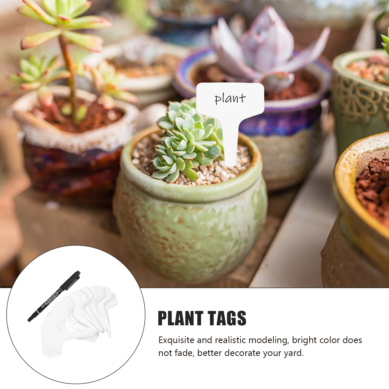 1 Set Of Flowerpot Plant Tags Reusable T-Type Garden Marker Labels Durable Plastic Name Cards For Bonsai Greenhouse Yard Decor
1 Set Of Flowerpot Plant Tags Reusable T-Type Garden Marker Labels Durable Plastic Name Cards For Bonsai Greenhouse Yard Decor