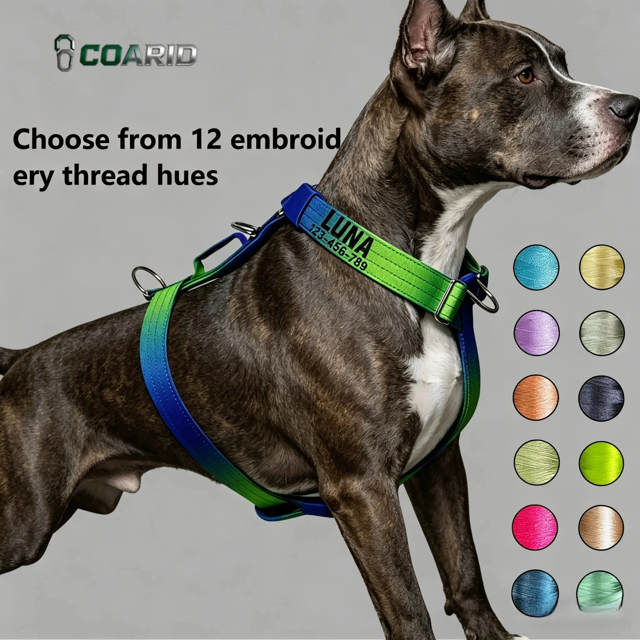 Custom Dog Harness Name Phone No Pull, Soft Knitted Gradient Reflective Vest, Adjustable Breathable Pet Harness Small to Large
Custom Dog Harness Name Phone No Pull, Soft Knitted Gradient Reflective Vest, Adjustable Breathable Pet Harness Small to Large