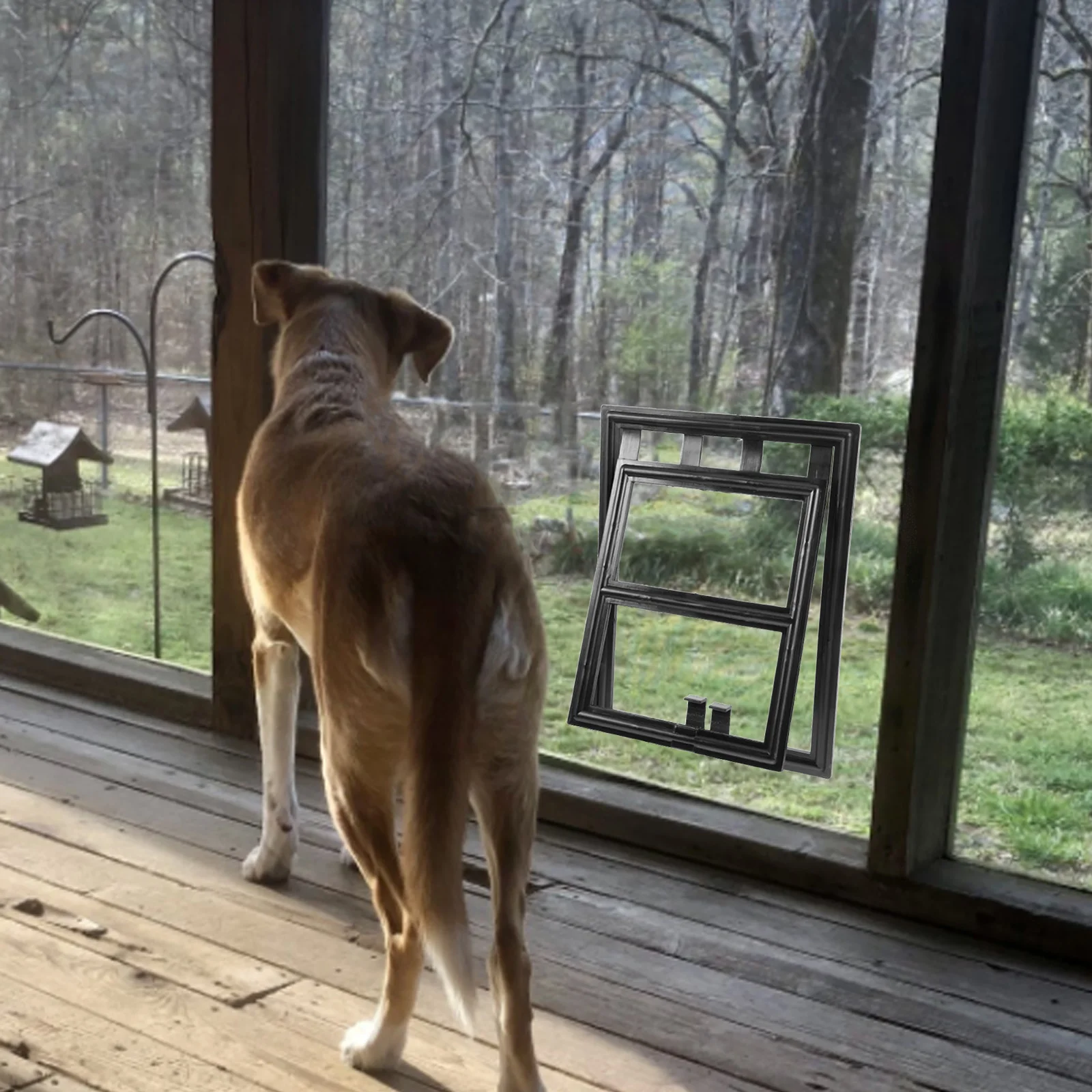 Pet Screen Door for Small Dog and Cat Heavy Duty Flap Door Replacement Sliding Screen Use Indoor Outdoor Freedom Access
Pet Screen Door for Small Dog and Cat Heavy Duty Flap Door Replacement Sliding Screen Use Indoor Outdoor Freedom Access