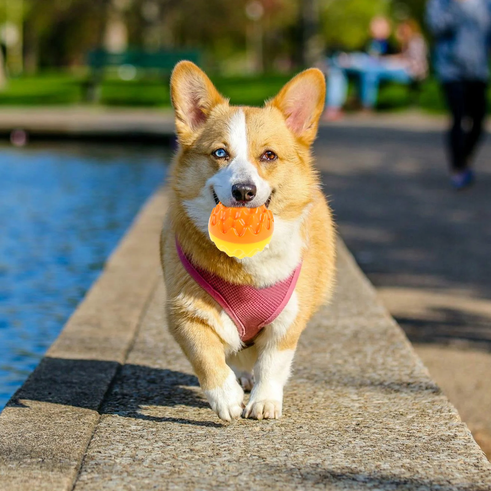 Squeaky Dog Chew Ball Interactive Grinding Ball for Puppies Teeth Cleaning Pet Playtime Fun Medium Small Large
Squeaky Dog Chew Ball Interactive Grinding Ball for Puppies Teeth Cleaning Pet Playtime Fun Medium Small Large