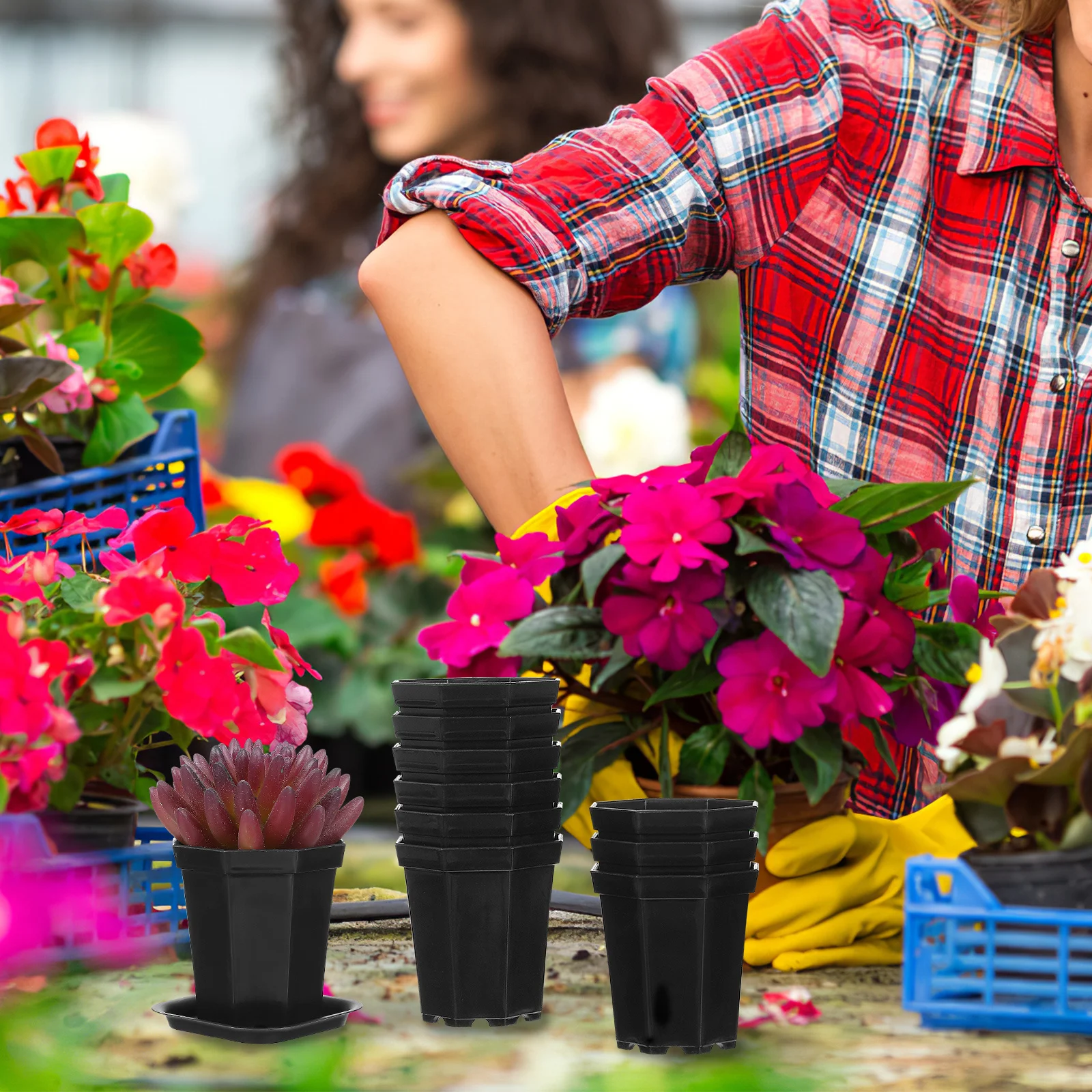10 Set Pots for Plants Night Dark Star Anise Flower Small Planter European Style Varity Nursery Succulents
10 Set Pots for Plants Night Dark Star Anise Flower Small Planter European Style Varity Nursery Succulents