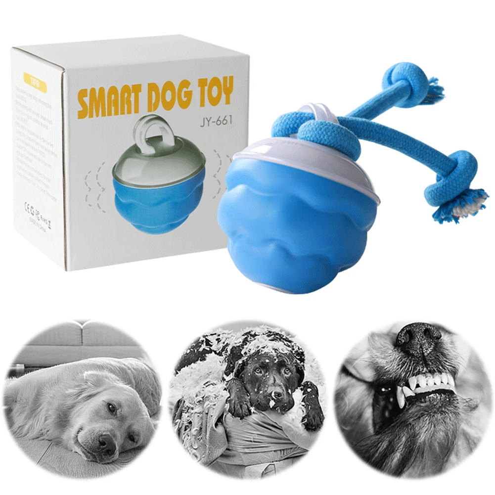 Interactive Dog Toys Ball Automatic Bouncing Ball USB Rechargeable Motion Activate Cat Toy 3 Modes Pet Exercise Toy for Puppies
Interactive Dog Toys Ball Automatic Bouncing Ball USB Rechargeable Motion Activate Cat Toy 3 Modes Pet Exercise Toy for Puppies