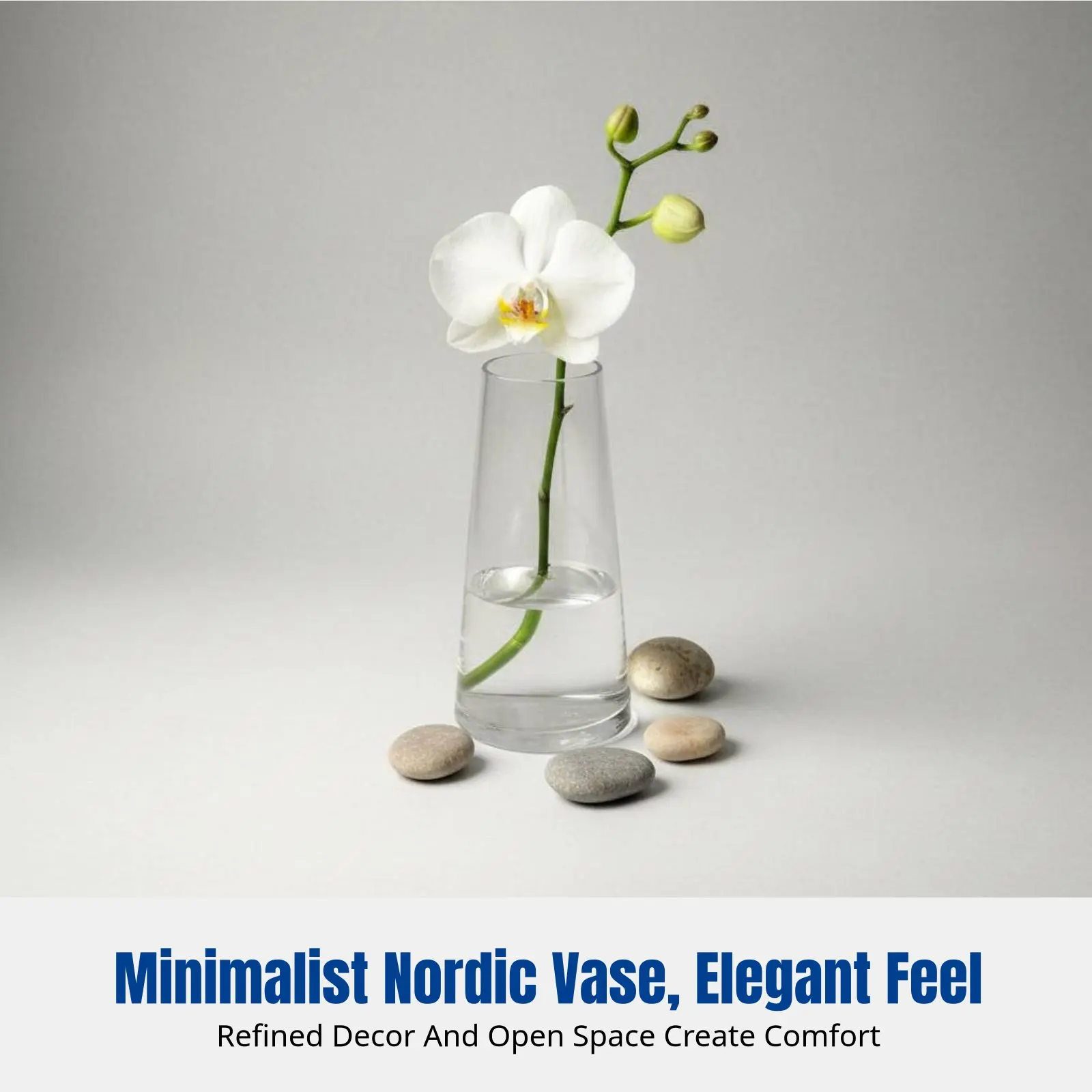 Minimalist Glass Vase, Nordic Transparent Cylinder, Hydroponic Bamboo, Dried Flower Desktop Decor, Ins-Inspired Living Room
Minimalist Glass Vase, Nordic Transparent Cylinder, Hydroponic Bamboo, Dried Flower Desktop Decor, Ins-Inspired Living Room