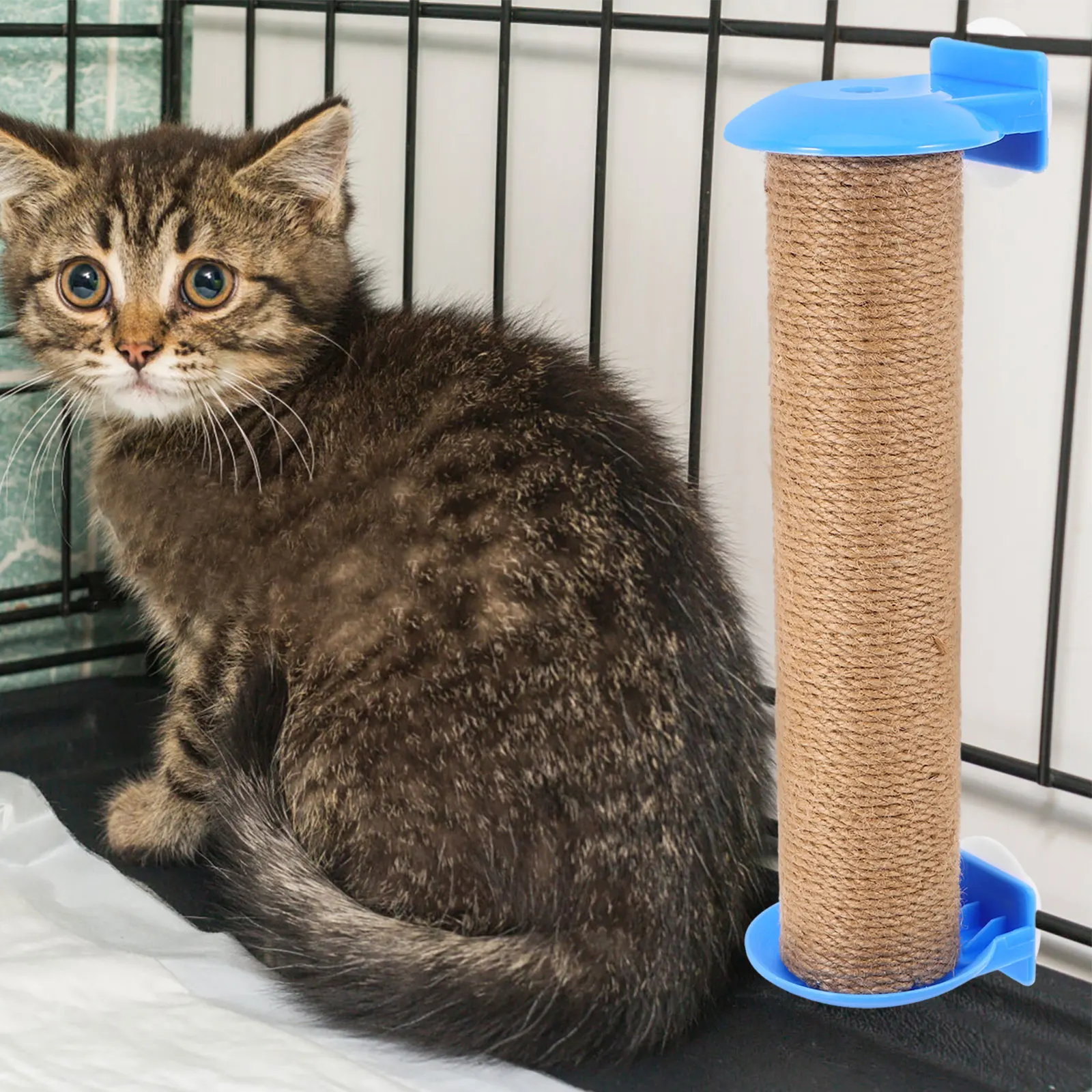 Cat Scratch Column Accessories Climber Vertical Posts Scratcher Jute Climbing Pole Scratching
Cat Scratch Column Accessories Climber Vertical Posts Scratcher Jute Climbing Pole Scratching