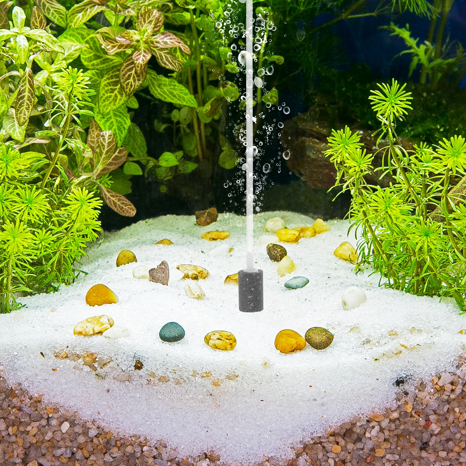 Air Pump for Aquarium Fish Tank Oxygen Aerator USB Powered Low Noise Compact Size Economic Power Saving Long Service Life
Air Pump for Aquarium Fish Tank Oxygen Aerator USB Powered Low Noise Compact Size Economic Power Saving Long Service Life