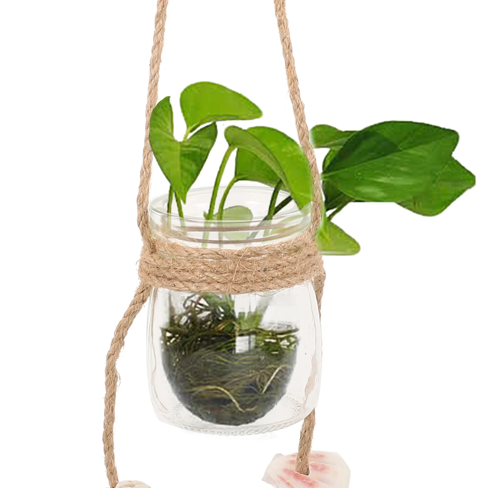 Hanging Glass Vase Creative Hydroponic Planter For Wall Mounted Decor Mediterranean Style Home Bar Coffee Shop Wall Art Display
Hanging Glass Vase Creative Hydroponic Planter For Wall Mounted Decor Mediterranean Style Home Bar Coffee Shop Wall Art Display