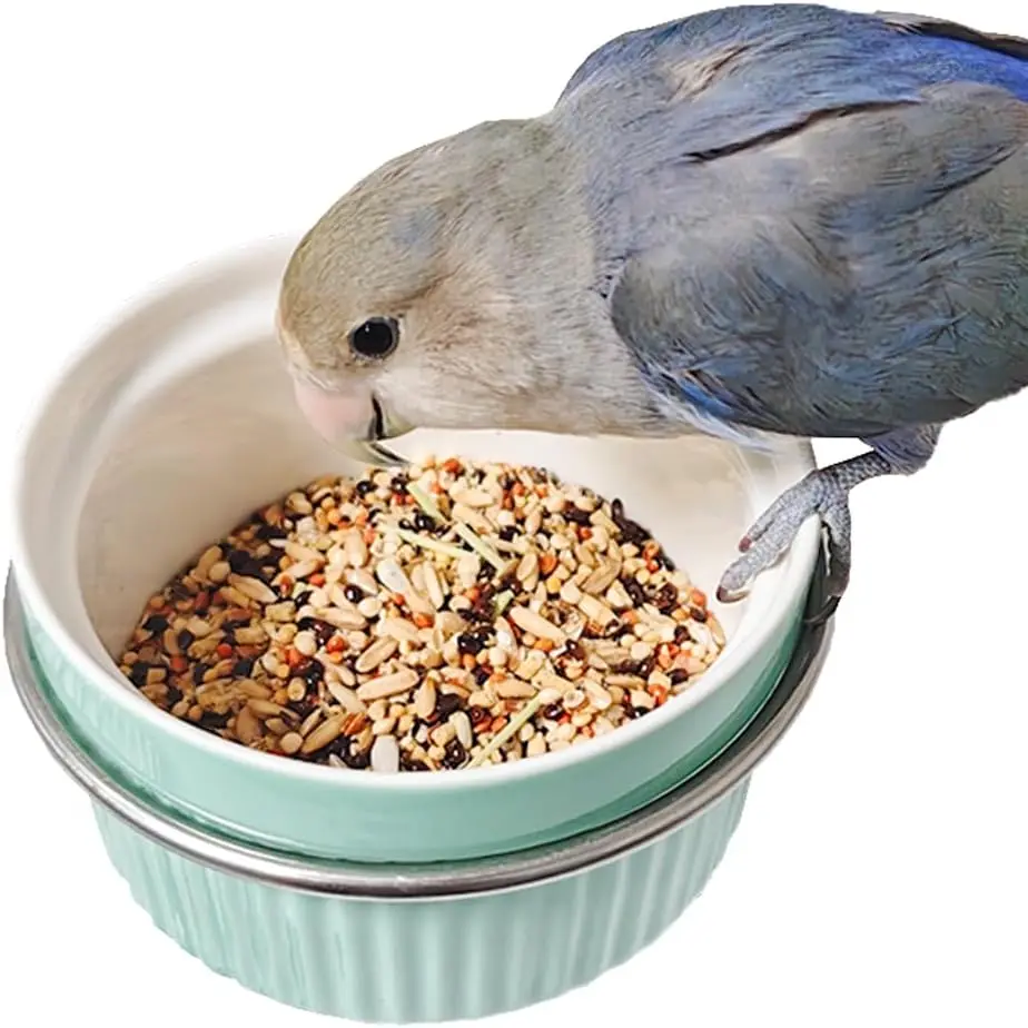 Bird Feeder for Cage Bowl, Ceramic Parrot Feeding Cups - Automatic Easy to Clean & Install, Dishwasher Safe Small Animal Food Wa
Bird Feeder for Cage Bowl, Ceramic Parrot Feeding Cups - Automatic Easy to Clean & Install, Dishwasher Safe Small Animal Food Wa
