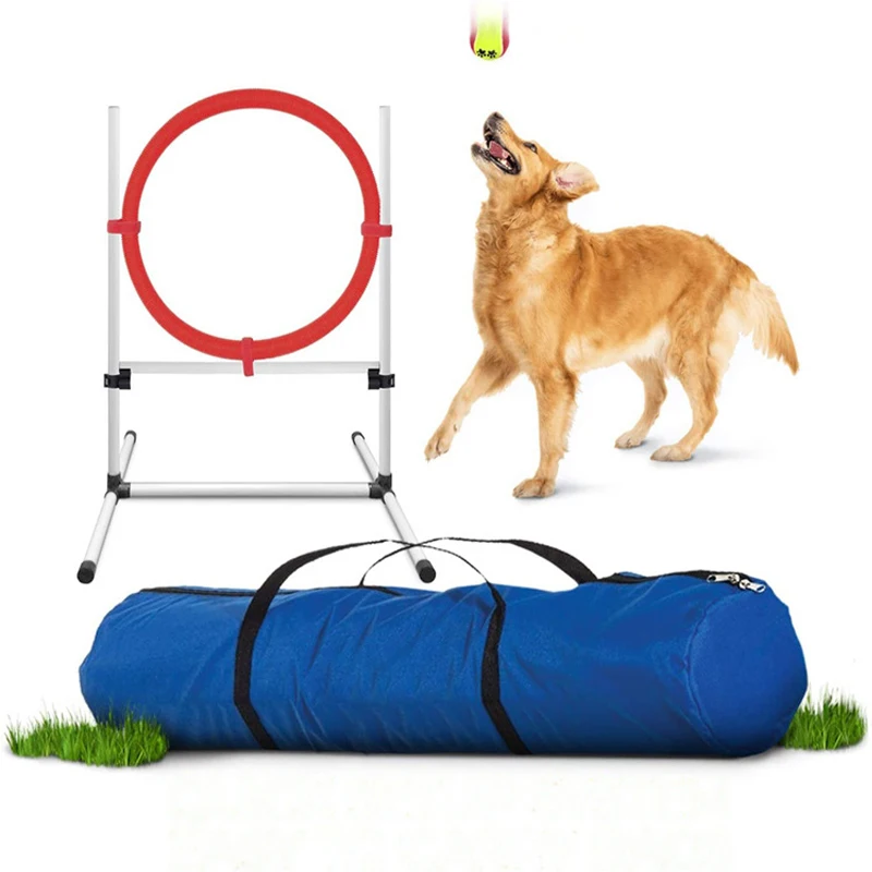 Dog Agility Training Obstacle Agility Training Kit for Dog Pet Outdoor Games Pet Obstacle Training Course Kit With Tunnel
Dog Agility Training Obstacle Agility Training Kit for Dog Pet Outdoor Games Pet Obstacle Training Course Kit With Tunnel