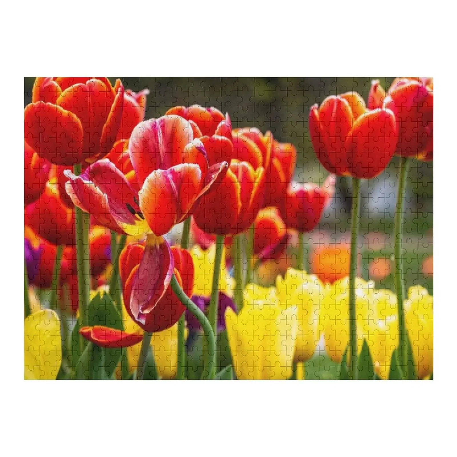Пазл «Тюльпаны» 2020, персонализированные детские подарки, деревянный пазл для взрослых
Пазл «Тюльпаны» 2020, персонализированные детские подарки, деревянный пазл для взрослых