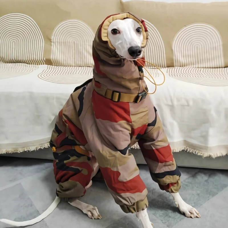 Luxury Super-thick Camouflage Bellington Clothes Winter Greyhound Whipbit Waterproof Windproof Wear-resistant Four-legged Cotton
Luxury Super-thick Camouflage Bellington Clothes Winter Greyhound Whipbit Waterproof Windproof Wear-resistant Four-legged Cotton