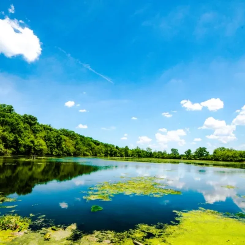 JX Servo PDI-4503HB Digital Servo - 120° 330Hz Plastic Gear High Torque for RC Helicopter Tank Car Robot
JX Servo PDI-4503HB Digital Servo - 120° 330Hz Plastic Gear High Torque for RC Helicopter Tank Car Robot