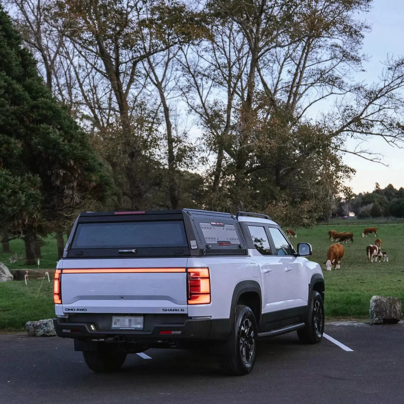 Factory Supply Truck Camper Black Canopy 4X4 Pickupk Truck Canopy for Ranger
Factory Supply Truck Camper Black Canopy 4X4 Pickupk Truck Canopy for Ranger