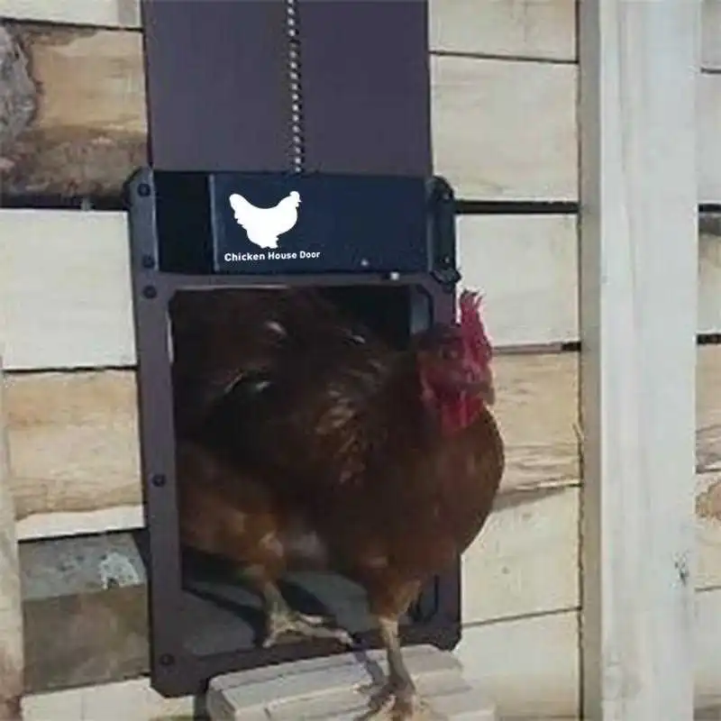 Automatic Sensing Chicken Coop Door Pet Door Smart Home Use Pigeon House Door Sensor Switch Door for Chicken Cage
Automatic Sensing Chicken Coop Door Pet Door Smart Home Use Pigeon House Door Sensor Switch Door for Chicken Cage