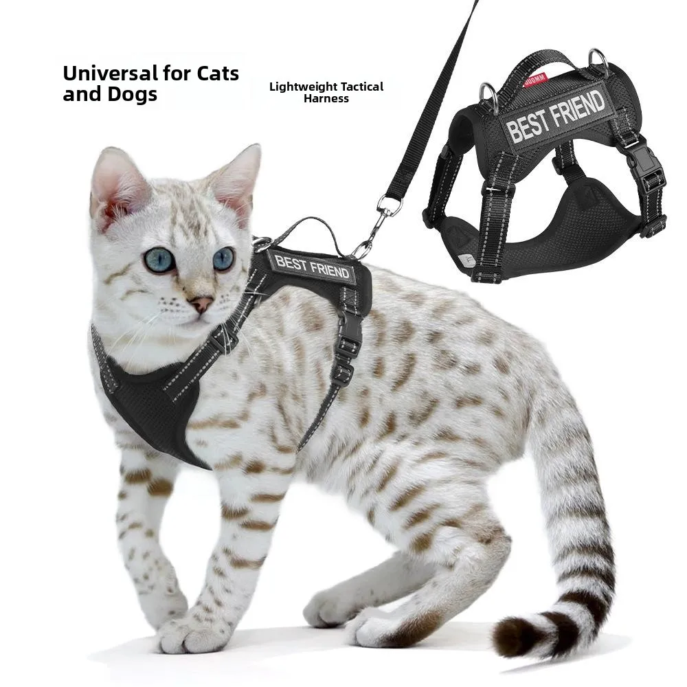 New Dog Leash Lightweight Breathable Pet Chest Back Harness Thin Dog Walking Rope Adjustable Polyester Material Extendable
New Dog Leash Lightweight Breathable Pet Chest Back Harness Thin Dog Walking Rope Adjustable Polyester Material Extendable