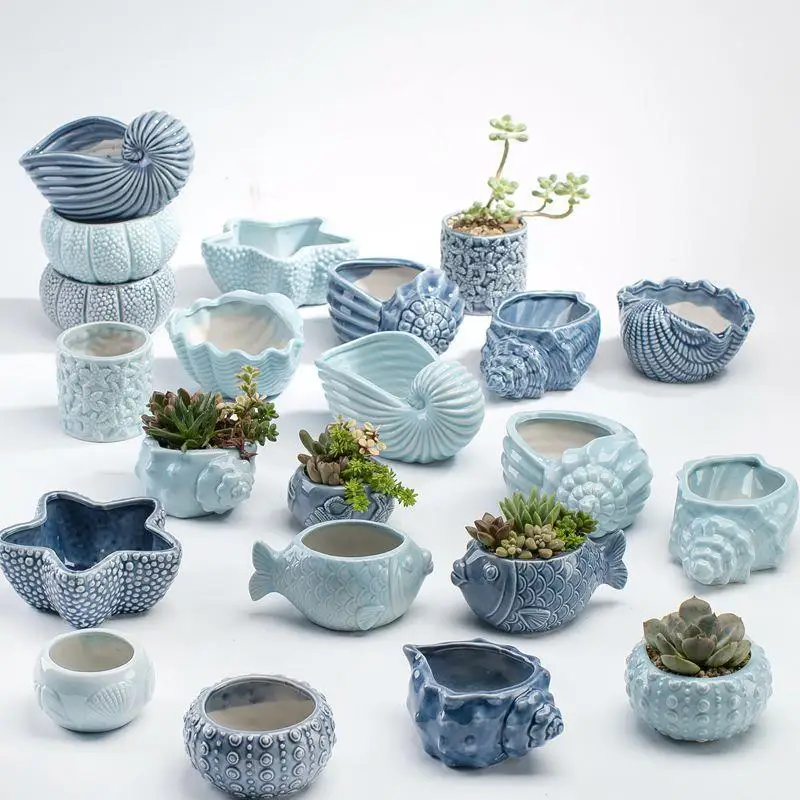 Cute Cartoon We ell Succulent Plant Pot Ocean Themed Small Flower Pot Home Decor Cerc Material Cartoon Sle
Cute Cartoon We ell Succulent Plant Pot Ocean Themed Small Flower Pot Home Decor Cerc Material Cartoon Sle