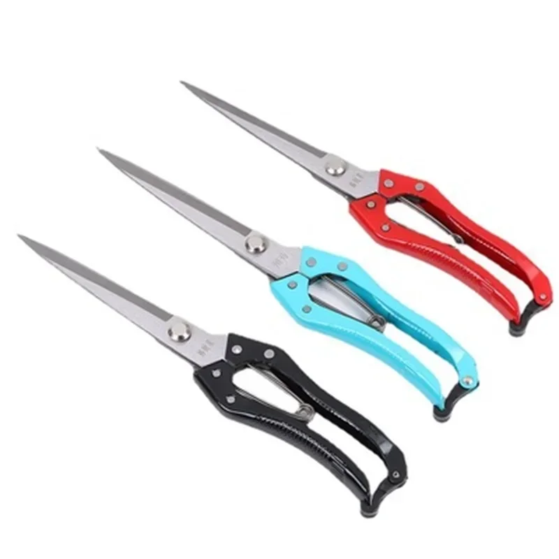 30cm Scissor Goat Sheep Lamb Wool Blade Trimmer Pet Rabbit Fur Cut Leather Cut Dog Farm Pet Tool Manual Horsehair
30cm Scissor Goat Sheep Lamb Wool Blade Trimmer Pet Rabbit Fur Cut Leather Cut Dog Farm Pet Tool Manual Horsehair