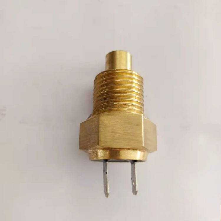1605063600 Suitable for Air Compressor Temperature Sensor Compressor Accessories
1605063600 Suitable for Air Compressor Temperature Sensor Compressor Accessories