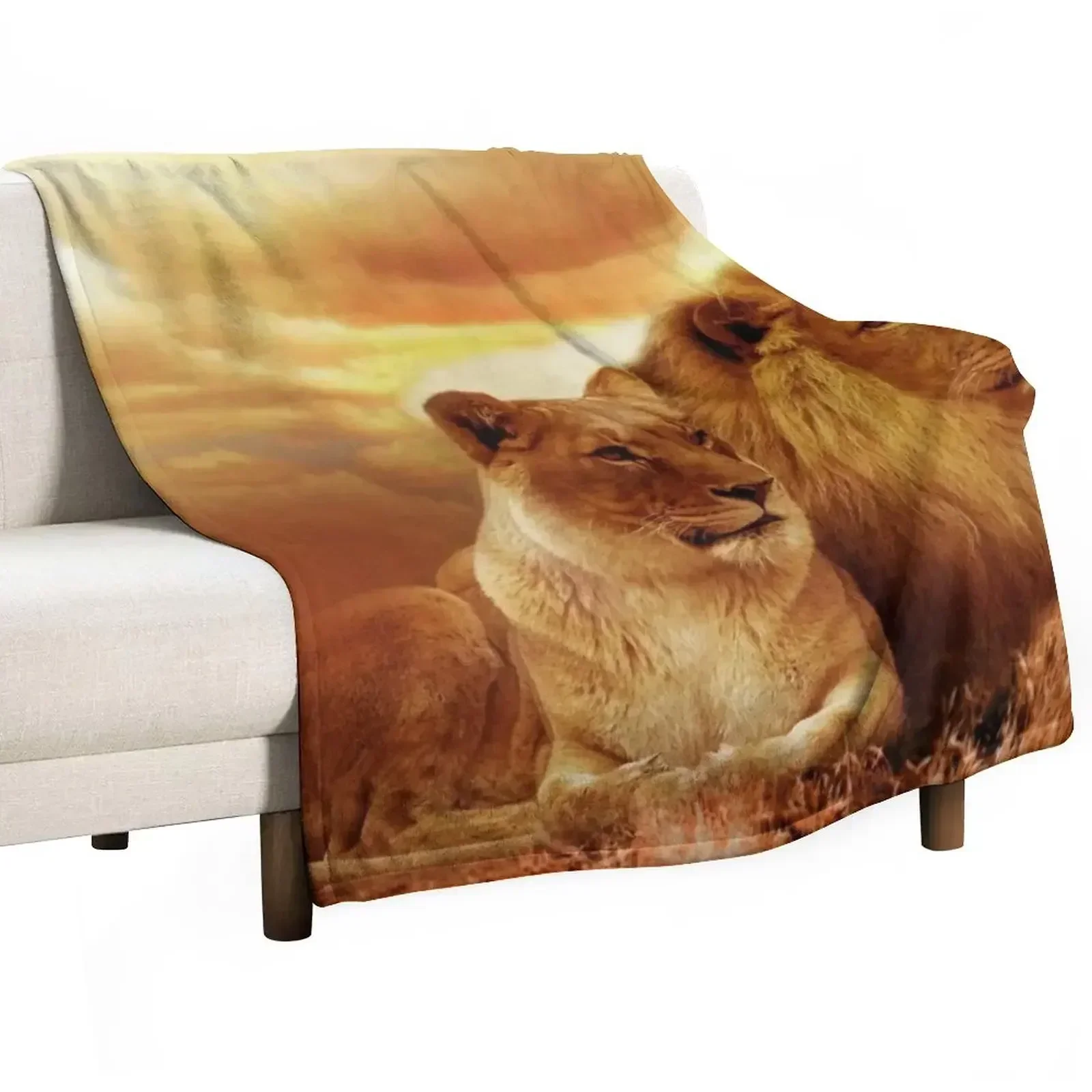 Together Always Throw Blanket Lightweight Cozy Blanket for Bed Sofa
Together Always Throw Blanket Lightweight Cozy Blanket for Bed Sofa