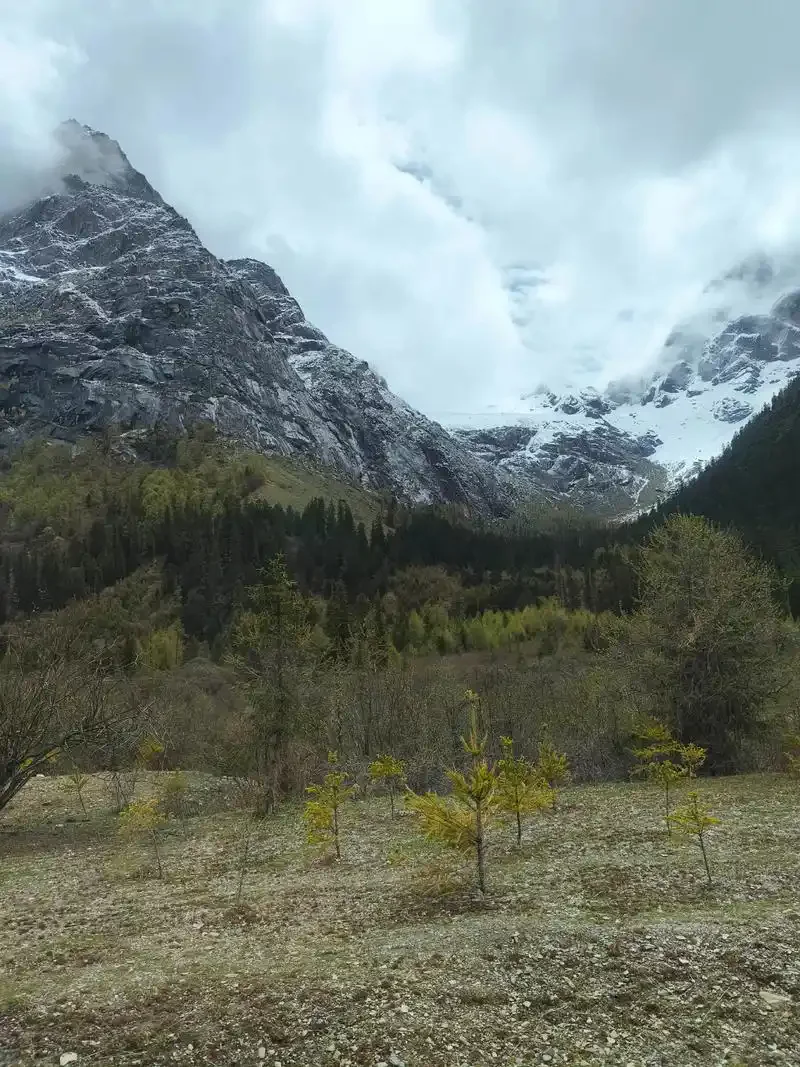 Wooden Stand Bar Cocktail Shaker Set Bars Set Tools Barware Tools Shaker Sets with Wooden Rack
Wooden Stand Bar Cocktail Shaker Set Bars Set Tools Barware Tools Shaker Sets with Wooden Rack