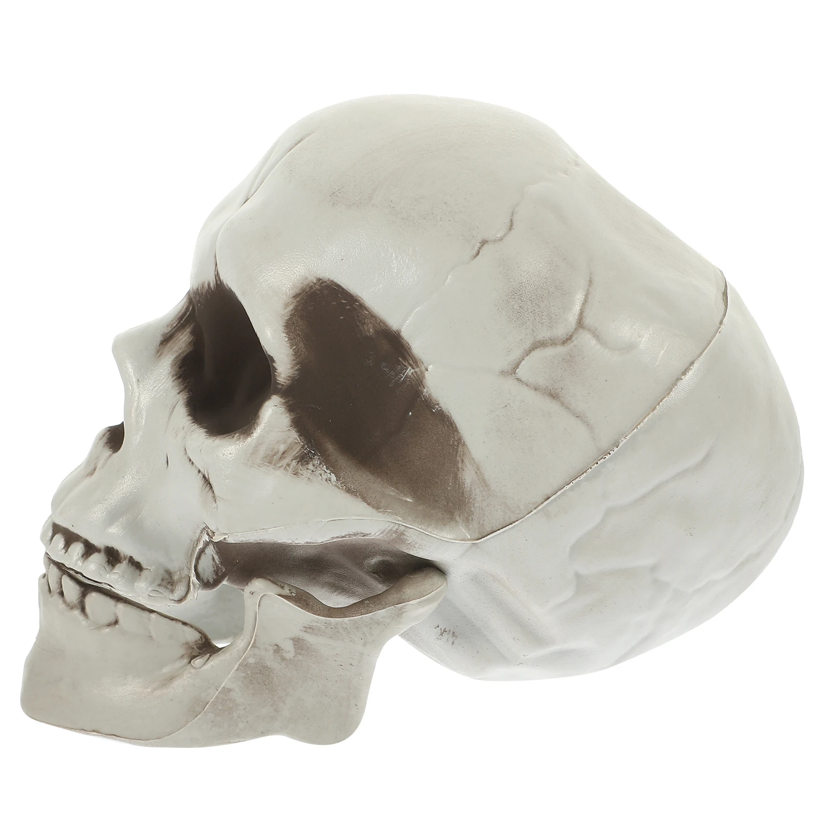 Skull Statue Halloween Party Decoration Simulated Skull Head Ornament Prop Lightweight PE Realistic Shape Portable
Skull Statue Halloween Party Decoration Simulated Skull Head Ornament Prop Lightweight PE Realistic Shape Portable