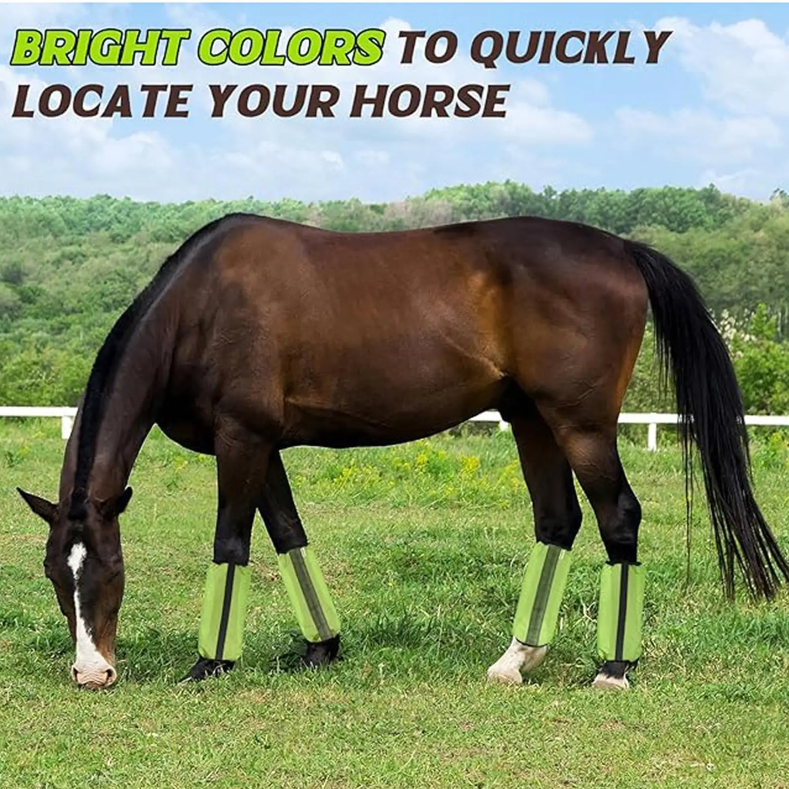 Fly Socks For Horses 4 Pieces Leg Mesh Protectors For Horse Elastic Equine Leggings For Turnout Stable Competition Sports
Fly Socks For Horses 4 Pieces Leg Mesh Protectors For Horse Elastic Equine Leggings For Turnout Stable Competition Sports