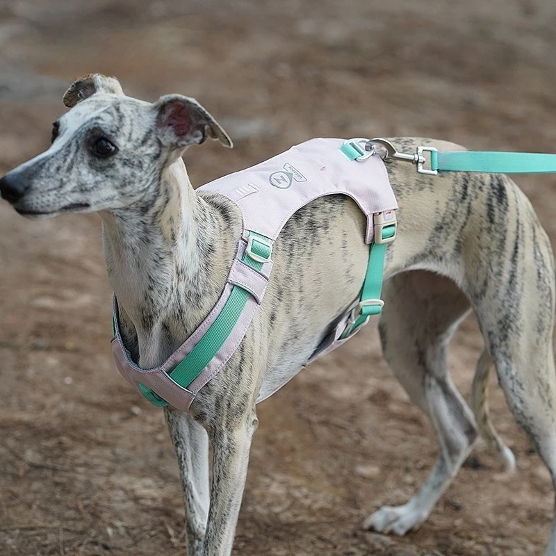 Adjustable Dog Harness Vest Reflective Soft Padded No Pull Pet Vest for Small Medium Large Dogs Perfect for Puppy Teddy
Adjustable Dog Harness Vest Reflective Soft Padded No Pull Pet Vest for Small Medium Large Dogs Perfect for Puppy Teddy