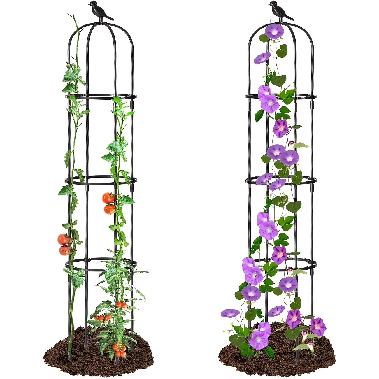 Top Quality Garden Obelisk Plant Supports Rustproof U-Shaped Climbing Plant Support Tower for Tomatoes Peas Frame
Top Quality Garden Obelisk Plant Supports Rustproof U-Shaped Climbing Plant Support Tower for Tomatoes Peas Frame