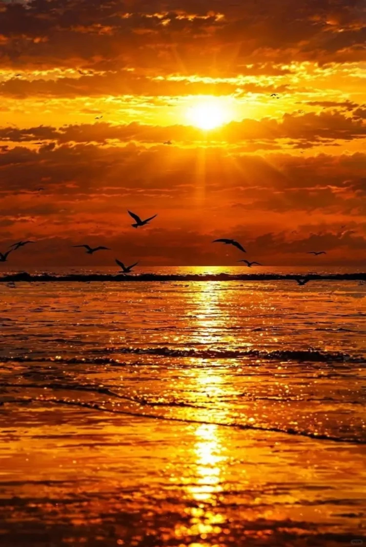 1000PCS Golden Sunset Beach Jigsaw Puzzle, Ocean View with Sunlight Reflection for Adults Children Educational Toys Gifts
1000PCS Golden Sunset Beach Jigsaw Puzzle, Ocean View with Sunlight Reflection for Adults Children Educational Toys Gifts
