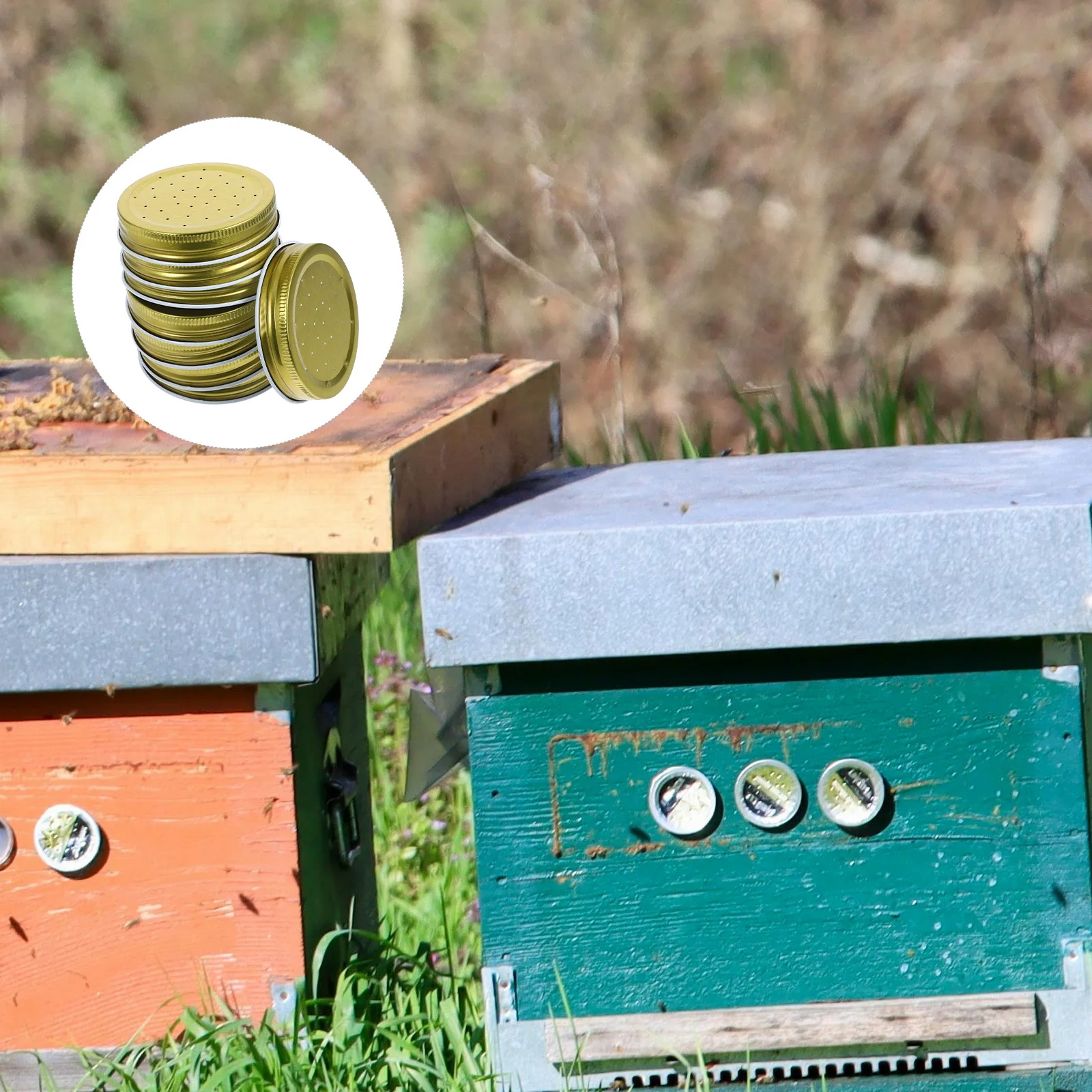 8Pcs Water Feeding Device for Beehive Natural Look Strong Wear Resistant Bee Drinker Easy Install Beekeeper Garden Tool Set
8Pcs Water Feeding Device for Beehive Natural Look Strong Wear Resistant Bee Drinker Easy Install Beekeeper Garden Tool Set